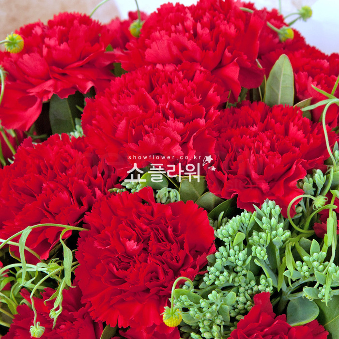 상세이미지