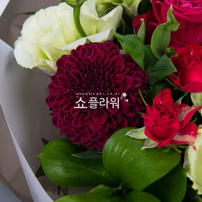 상세이미지
