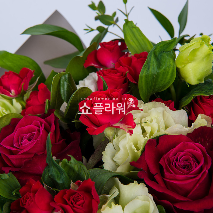 상세이미지