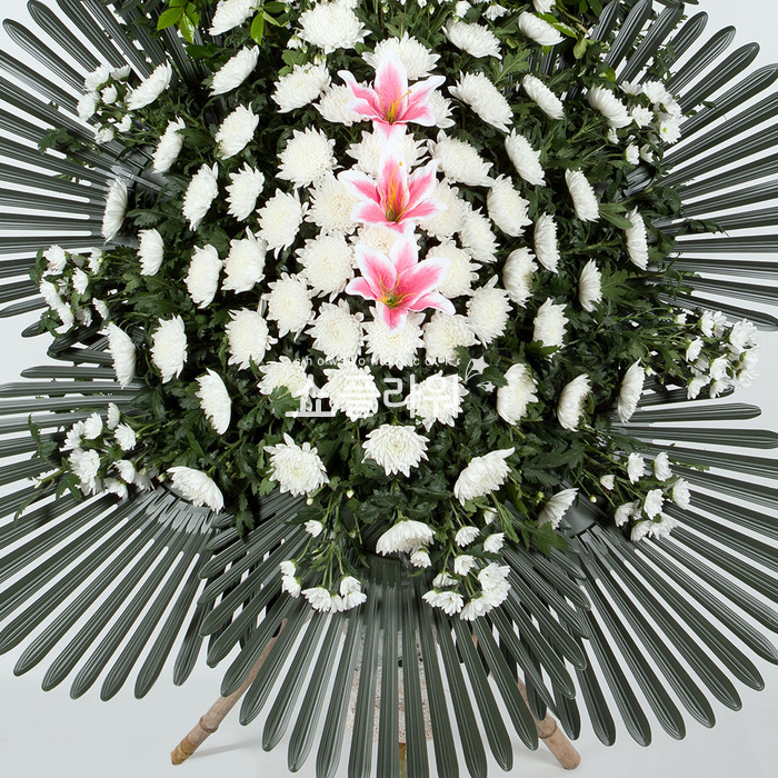 상세이미지