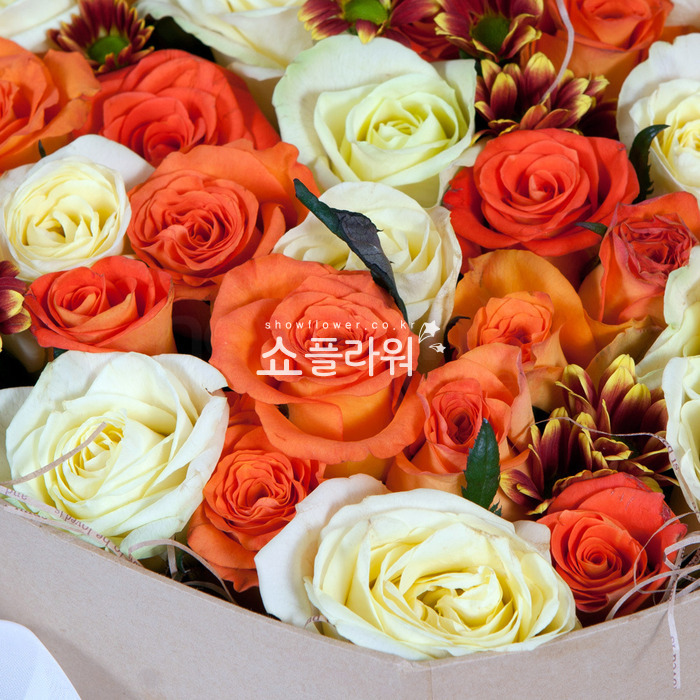 상세이미지