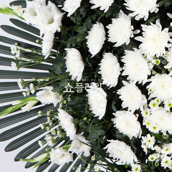 상세이미지