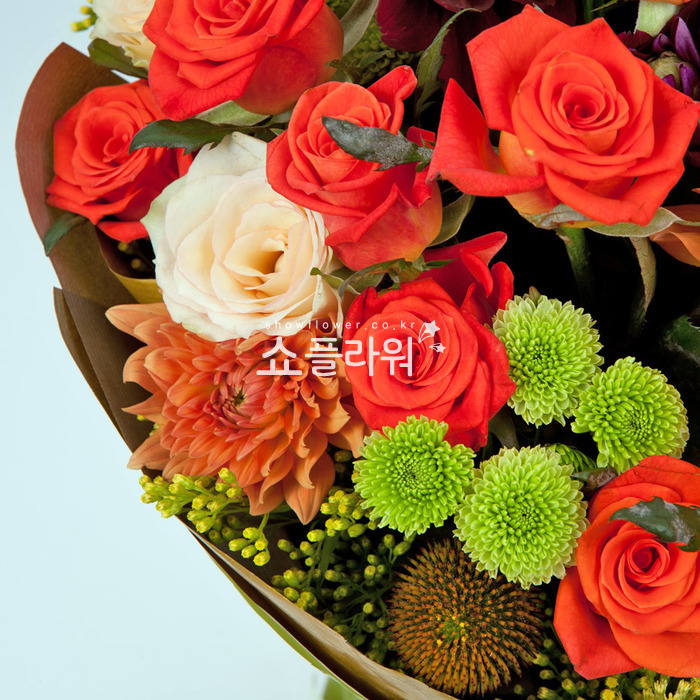 상세이미지