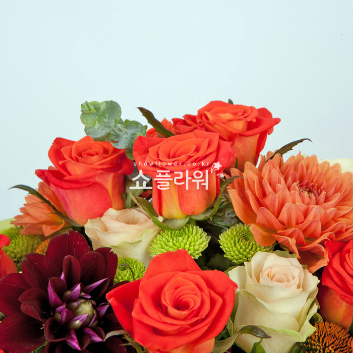 상세이미지