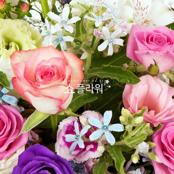 상세이미지