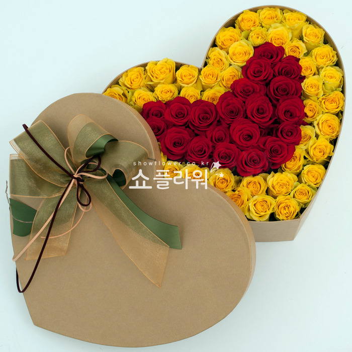 상세이미지