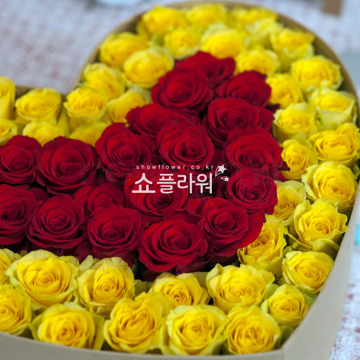 상세이미지