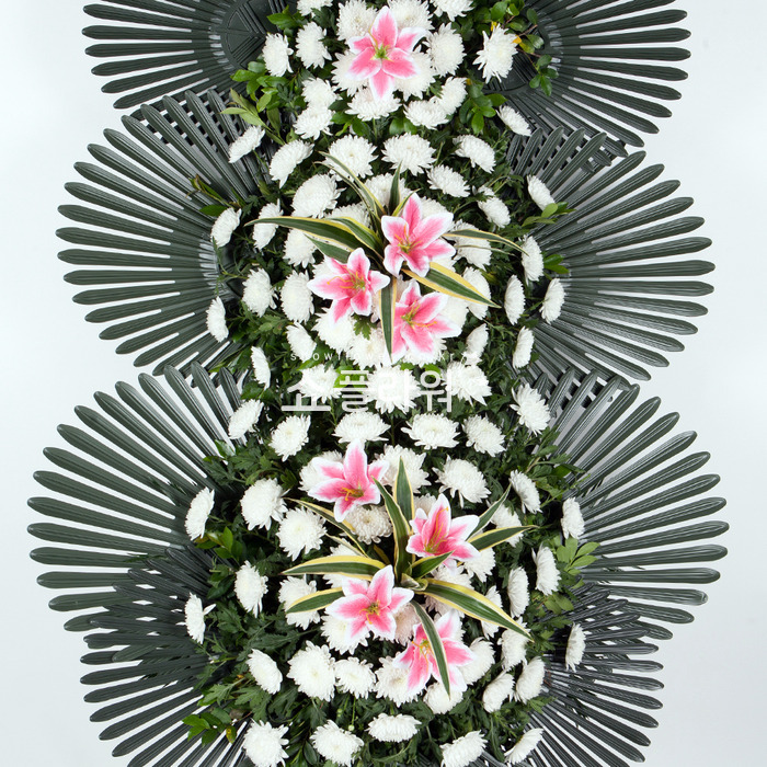 상세이미지