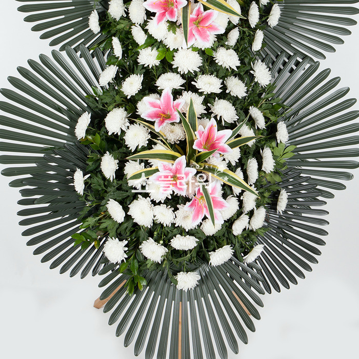 상세이미지