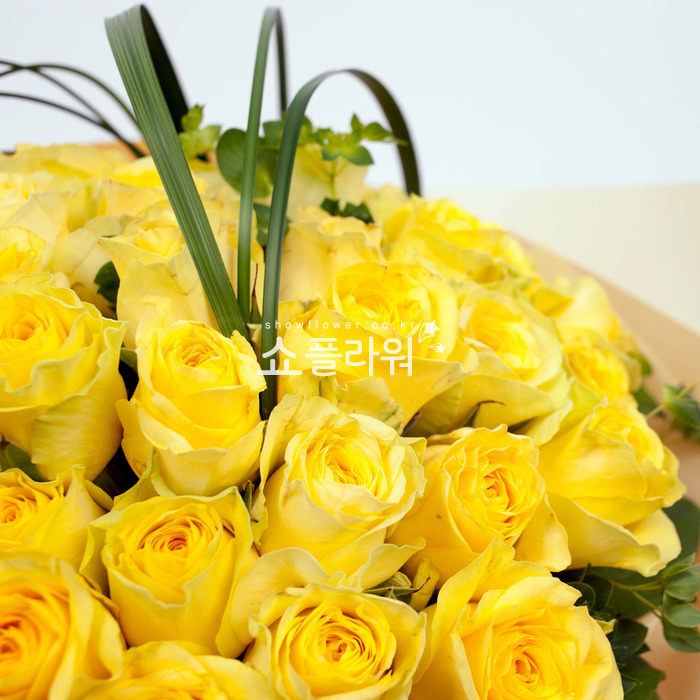 상세이미지