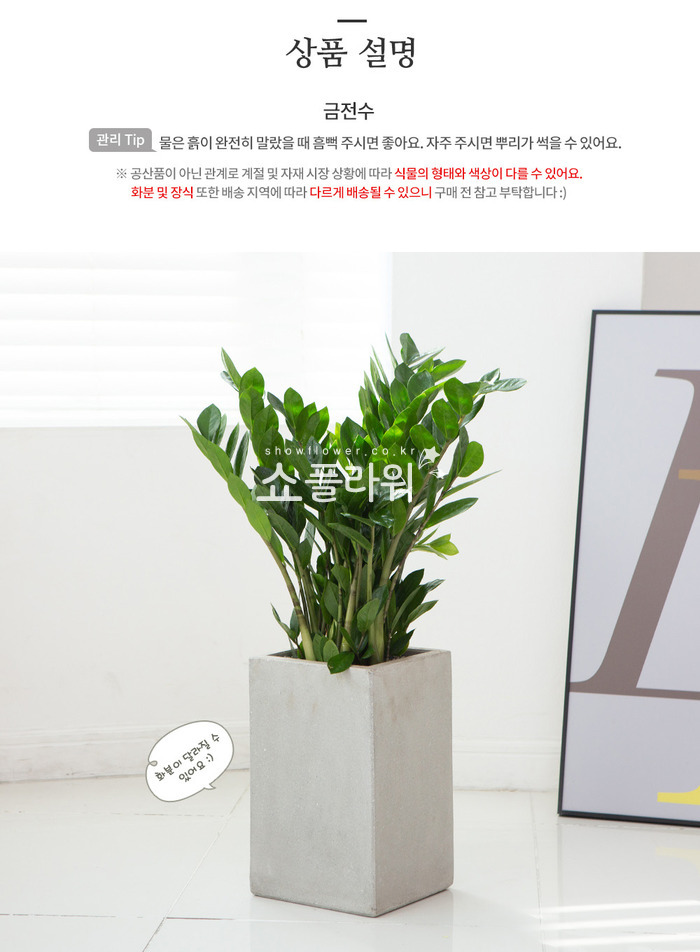 상세이미지