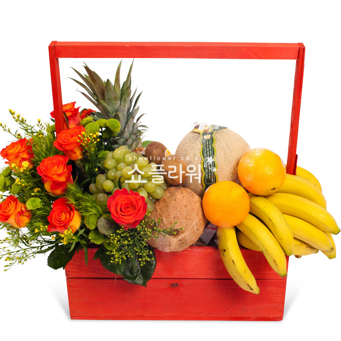 상세이미지