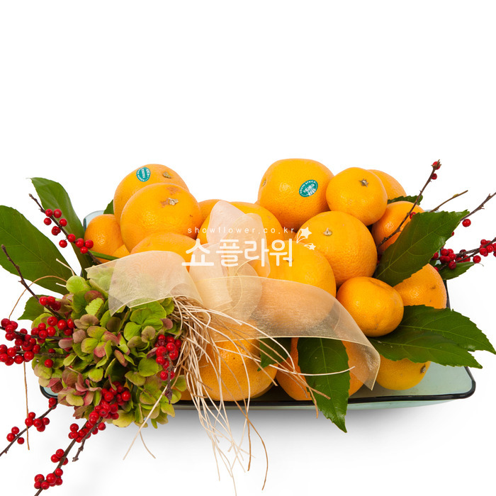 상세이미지