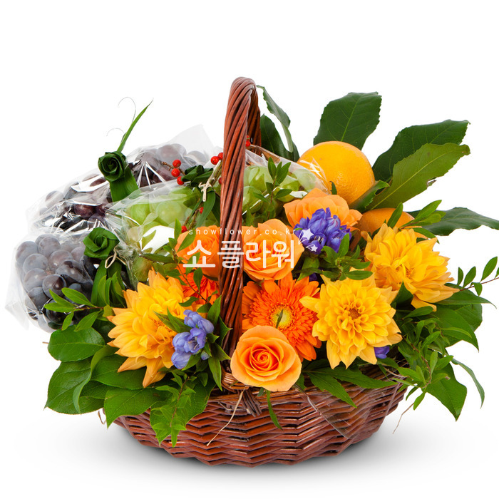 상세이미지