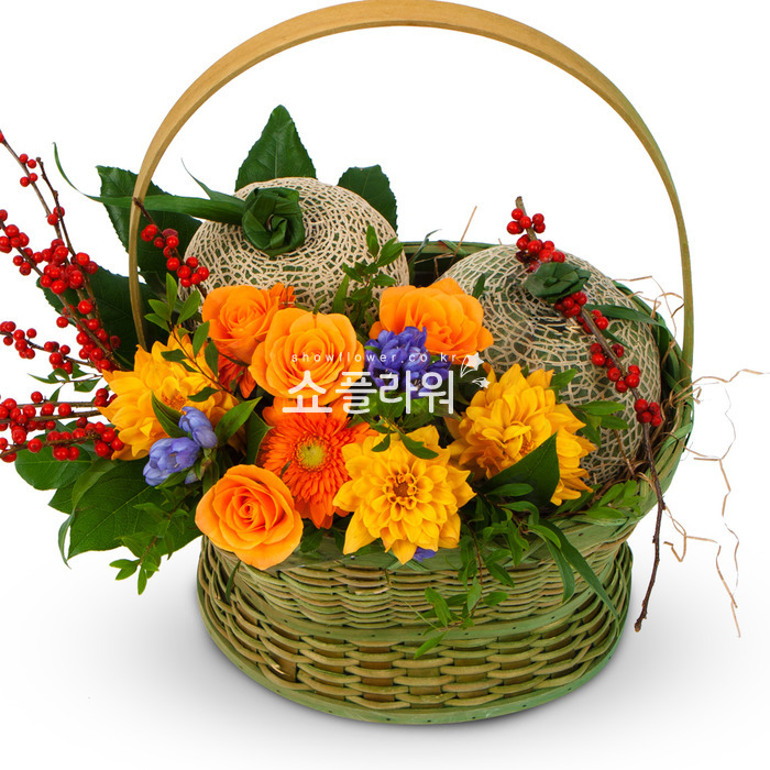 상세이미지