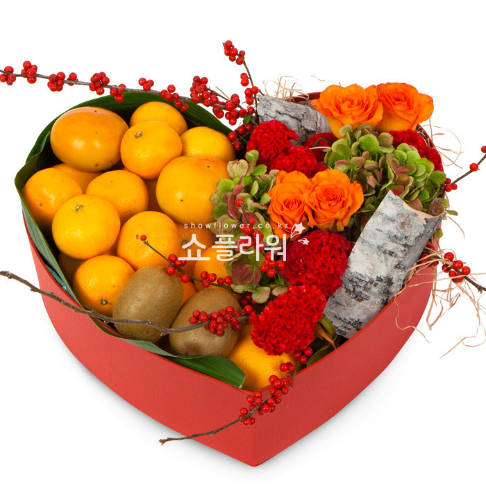 상세이미지