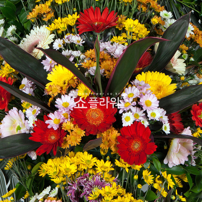 상세이미지