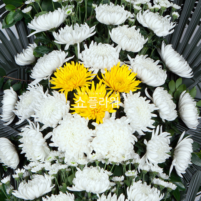 상세이미지
