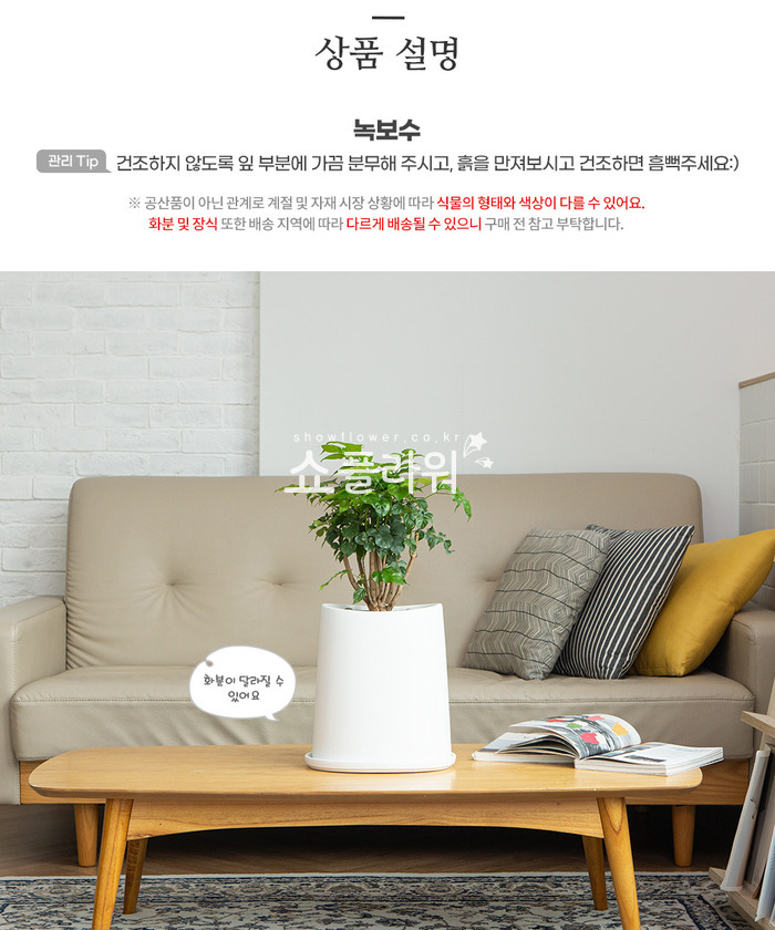 상세이미지