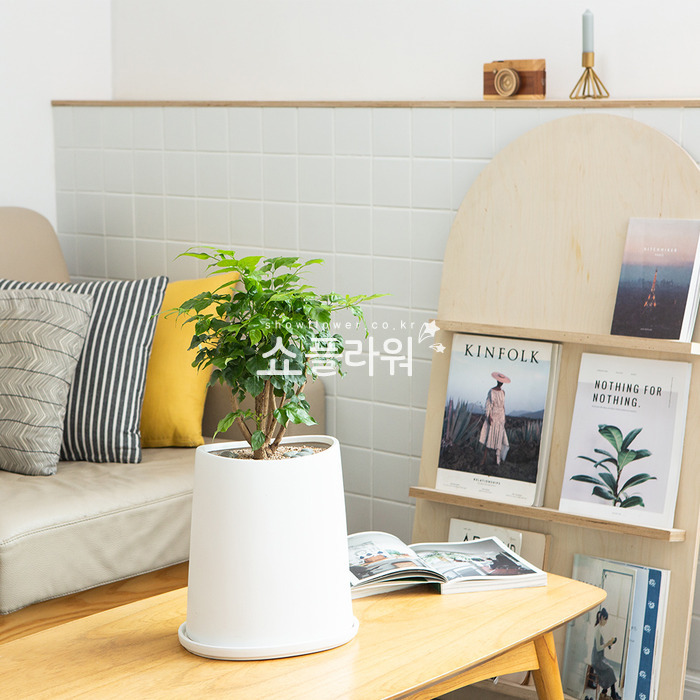 상세이미지