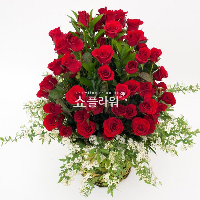 상세이미지