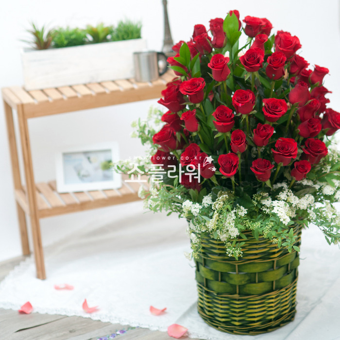 상세이미지