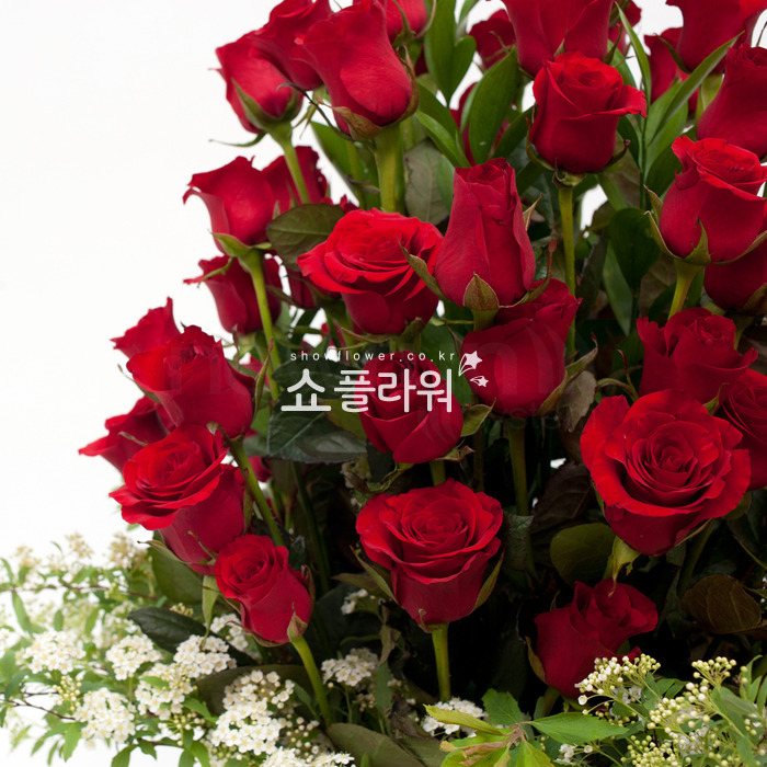상세이미지
