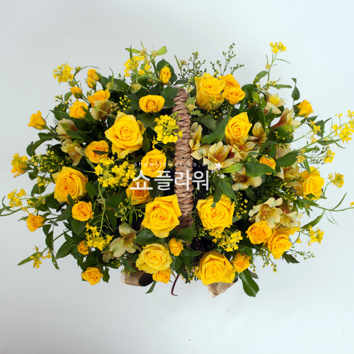 상세이미지