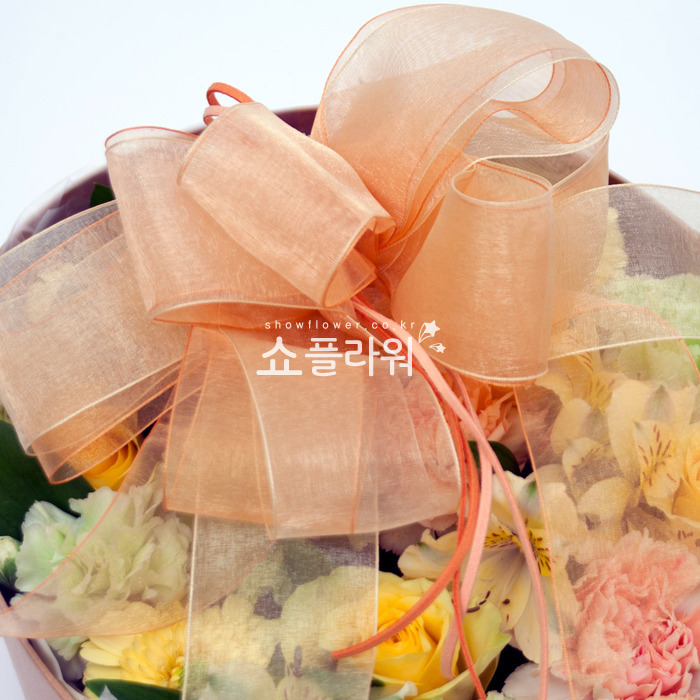 상세이미지