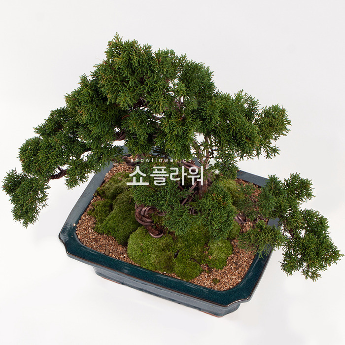 상세이미지