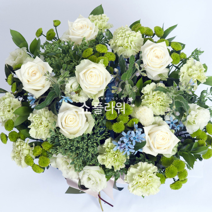 상세이미지