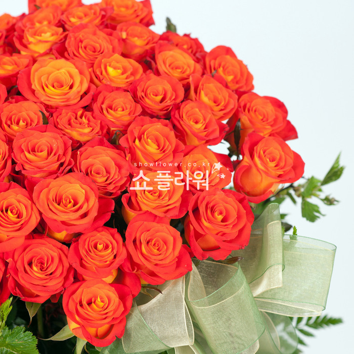 상세이미지