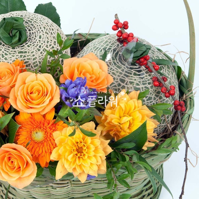 상세이미지