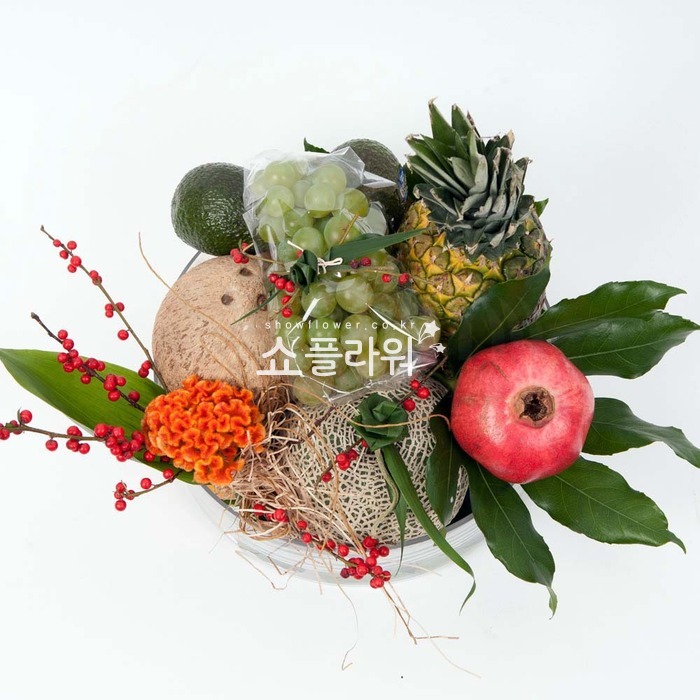 상세이미지