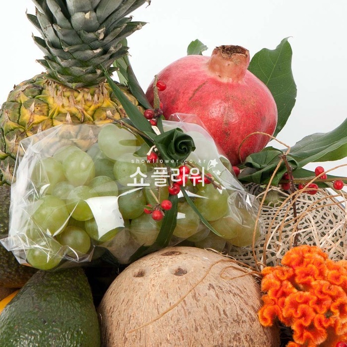 상세이미지