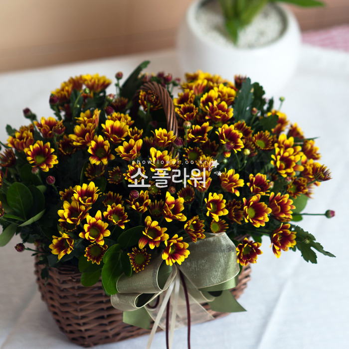 상세이미지