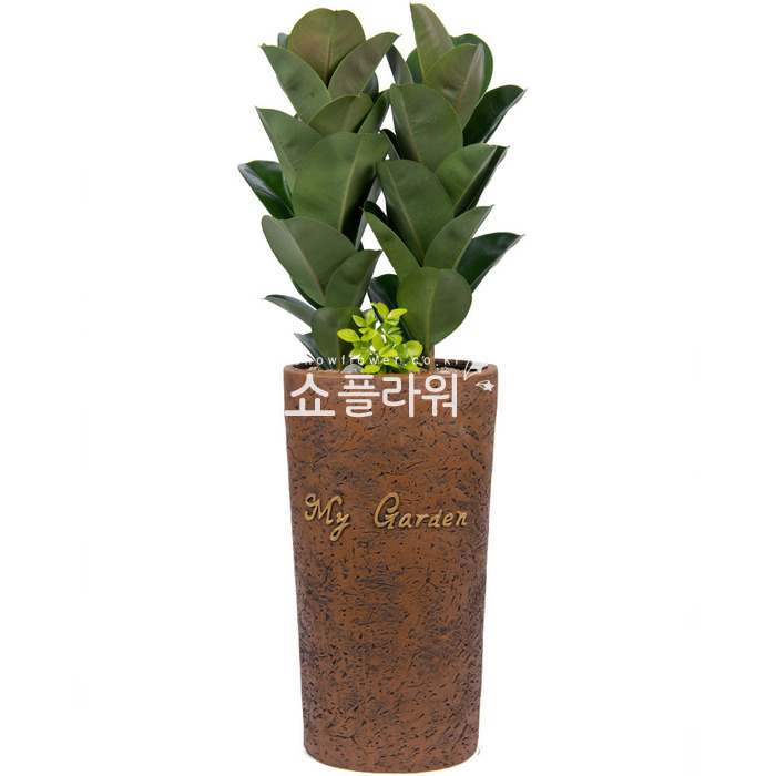 상세이미지