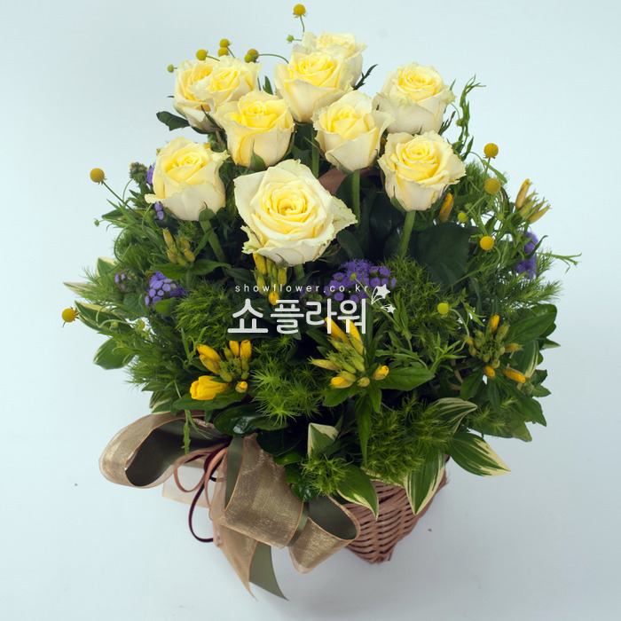 상세이미지