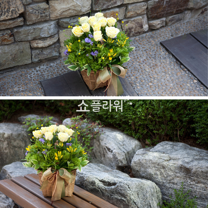 상세이미지
