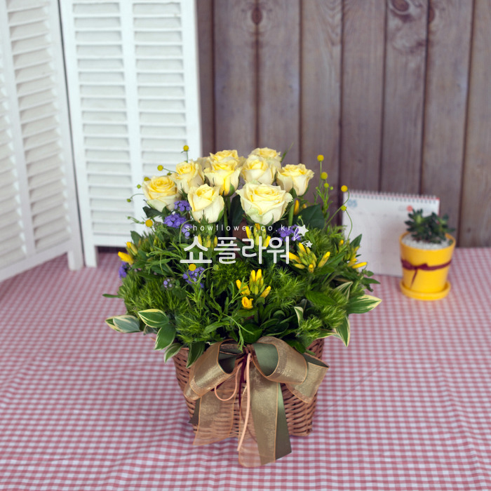 상세이미지