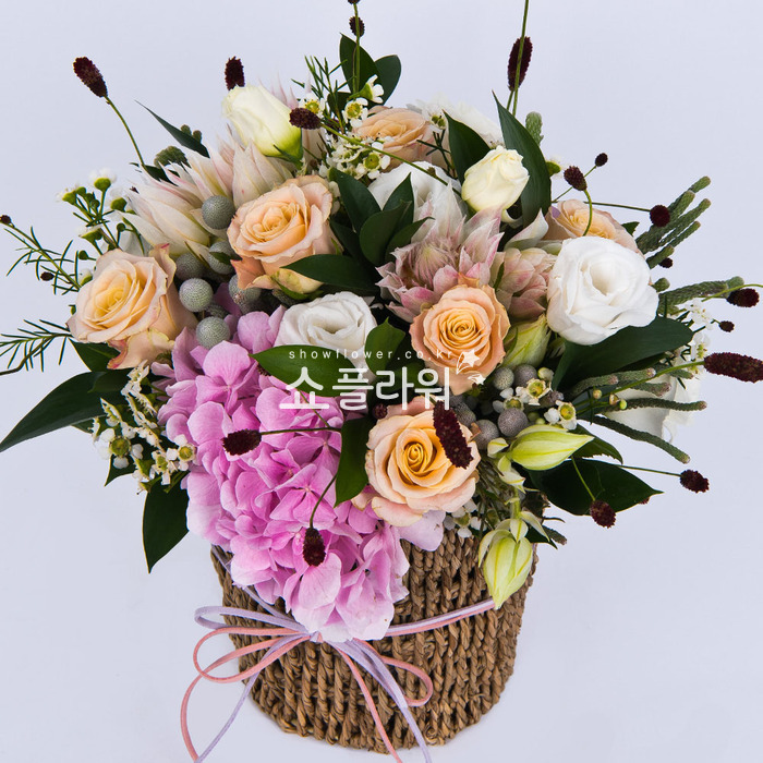 상세이미지