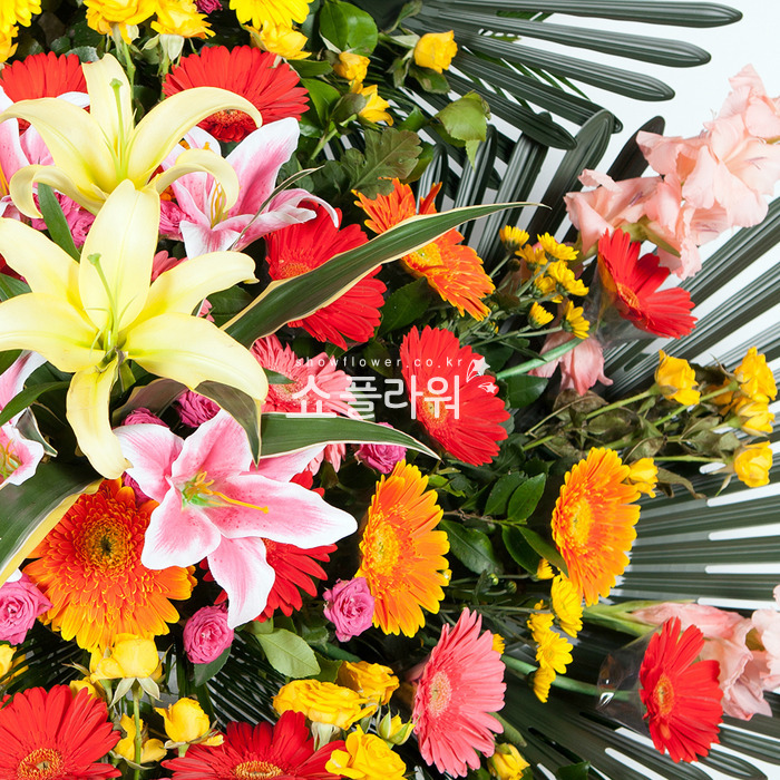 상세이미지