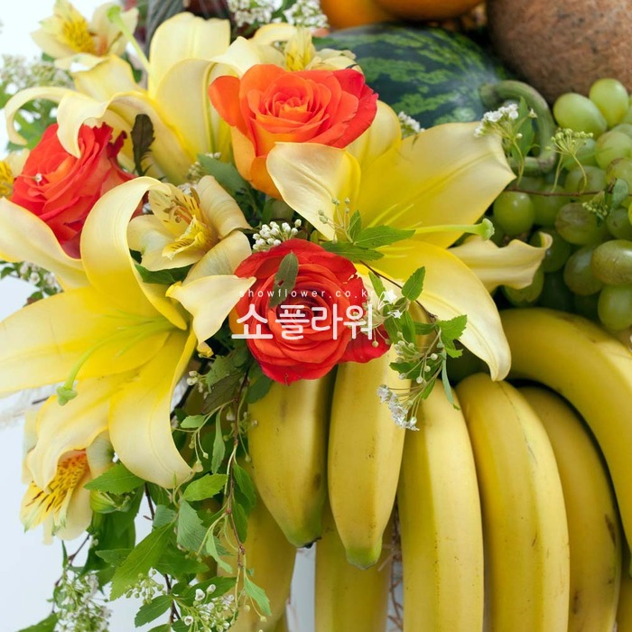상세이미지