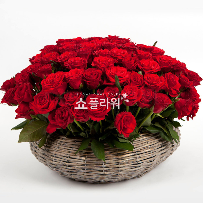 상세이미지