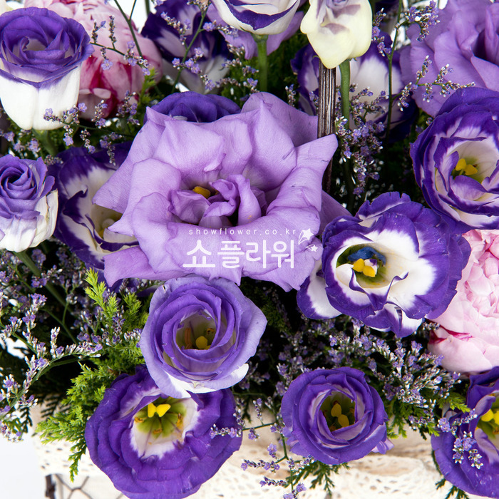 상세이미지