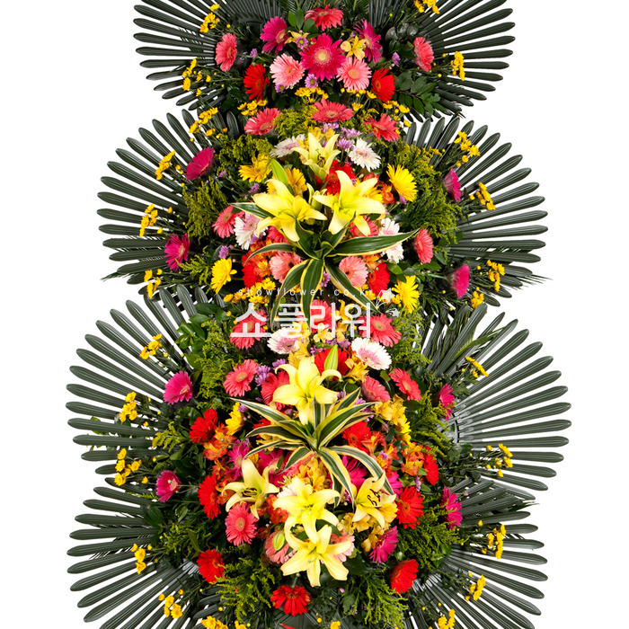 상세이미지