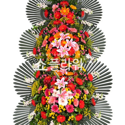 3단화환3