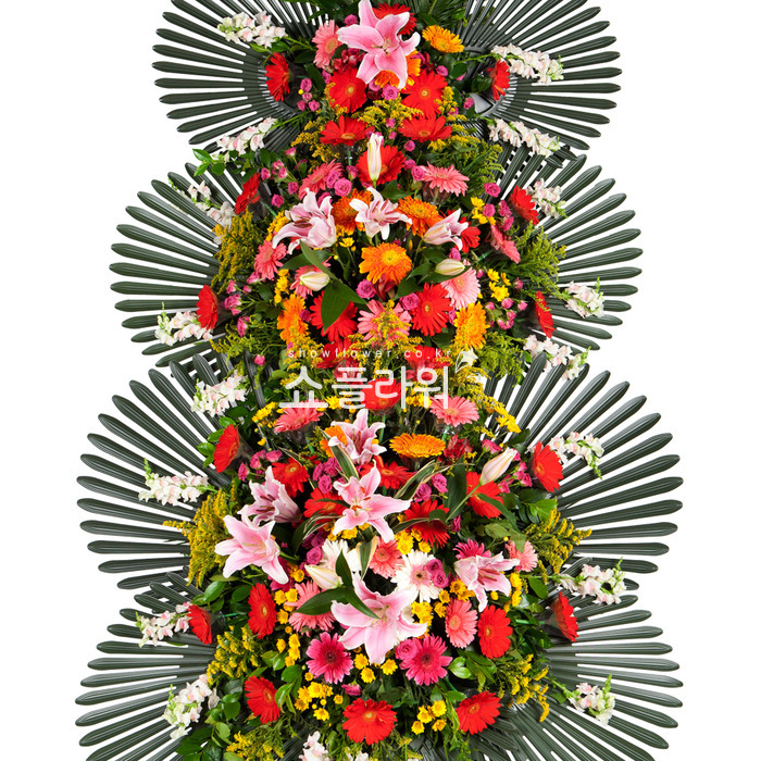 상세이미지
