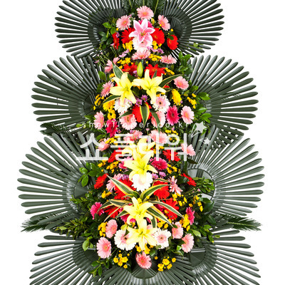 3단화환보편2