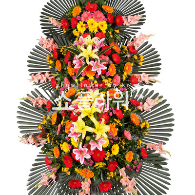 축하화환 3단(특)